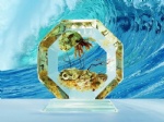 Real Sea Amber Desktop Decoration