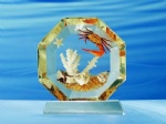 Real Sea Amber Desktop Decoration