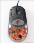 Real Insect Computer Mouse