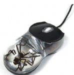 Real Insect Computer Mouse
