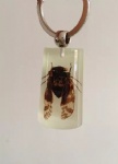 Real Insect Keychains