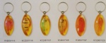 Real Sea Amber Keychains