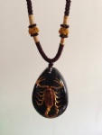 Real Insect Necklace Pendant