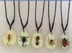 Real Insect Necklace Pendant