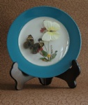 real butterfly decorative plates,butterfly crafts