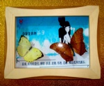 Butterfly decorative frame，press flower frame,handmade craft,press flower craft,room frame,wall frame,dried flower craft